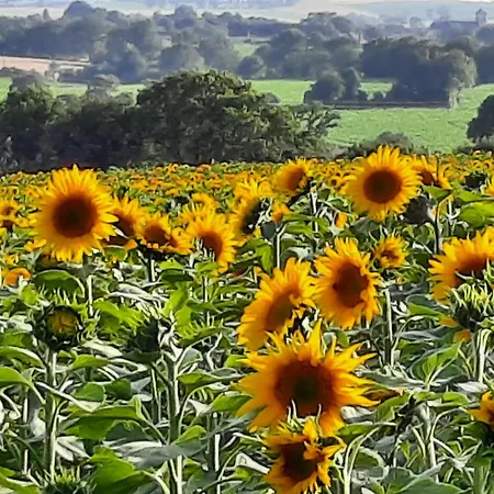 펜션 De La Levrotiere - Alpes Mancelle Saint-Aubin-du-Desert
